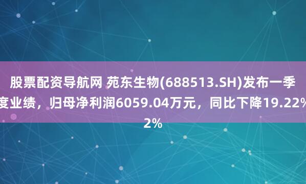 股票配资导航网 苑东生物(688513.SH)发布一季度业绩，归母净利润6059.04万元，同比下降19.22%